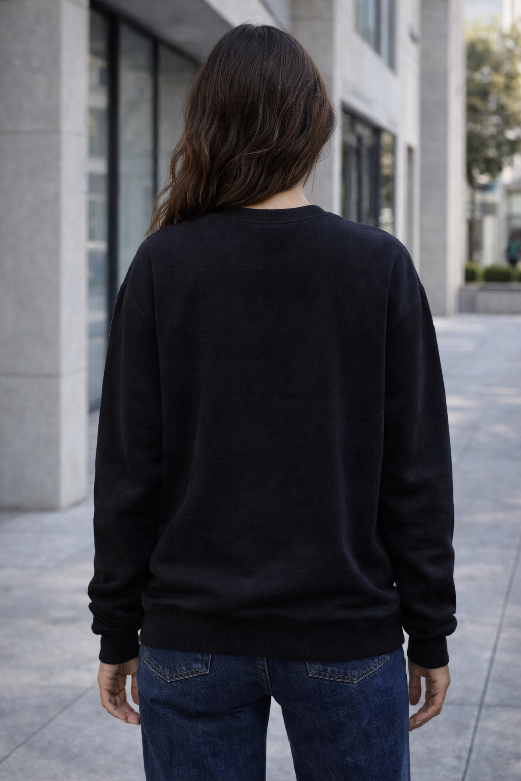 BUNDLE DE 5 SUDADERAS CREWNECK